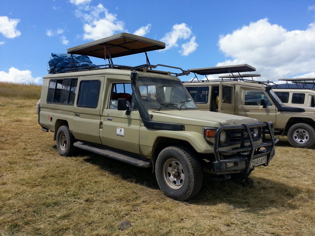Tanzanie Safari