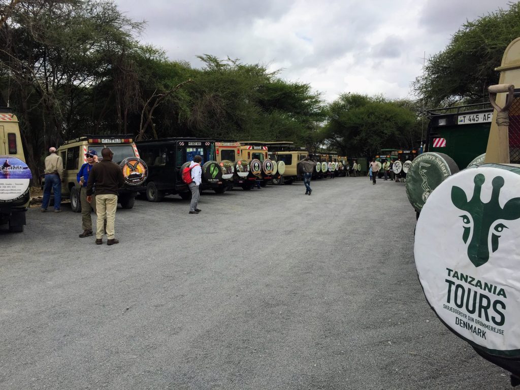 Tanzanie Safari