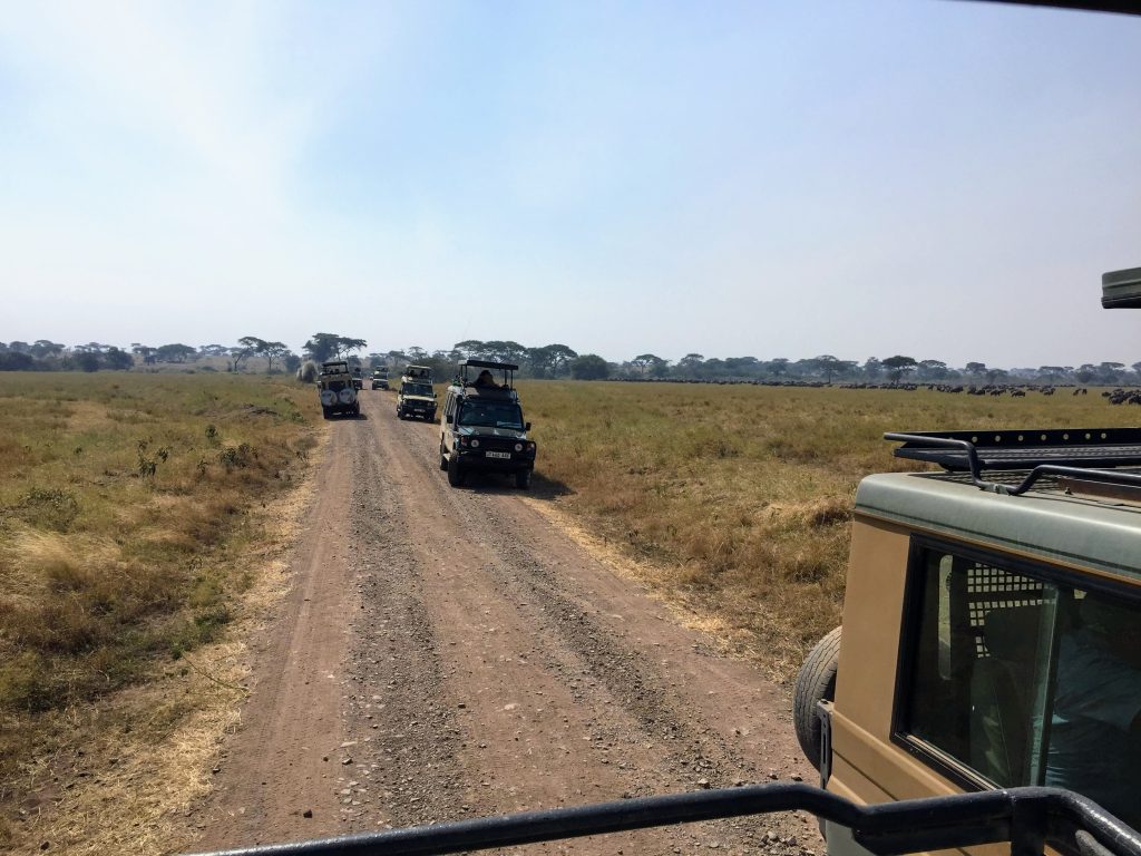 Tanzanie Safari