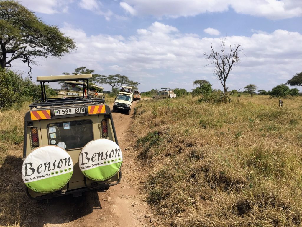 Tanzanie Safari