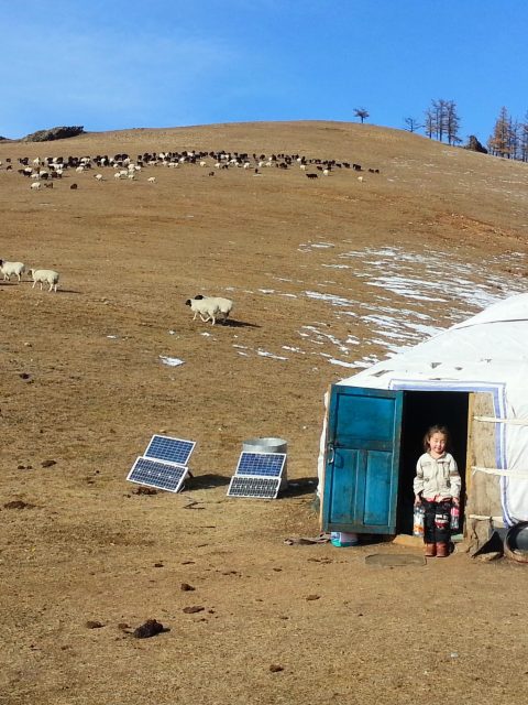Une yourte et des moutons en Mongolie