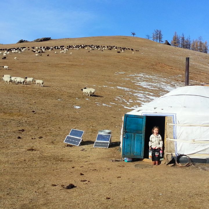 Une yourte et des moutons en Mongolie